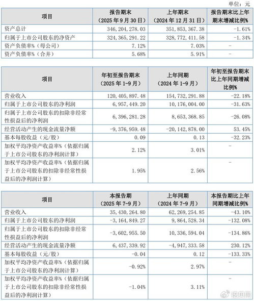 聯(lián)迪信息2025年第三季度凈虧損316.48萬(wàn)元，內(nèi)銷收入下滑拖累業(yè)績(jī)